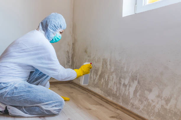 Mold inspector in Waynesboro performing thermal imaging