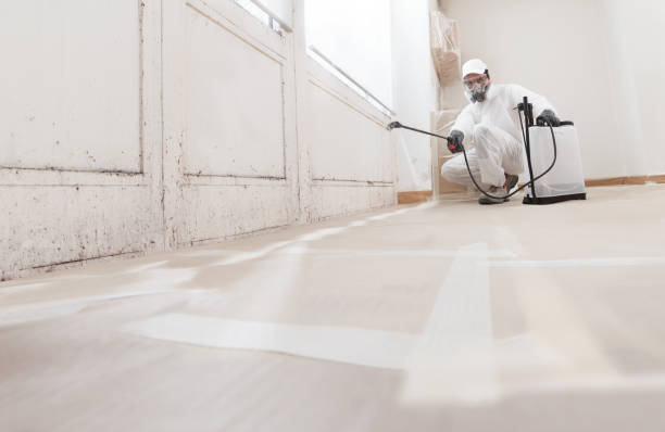 Black mold remediation team in Waynesboro
